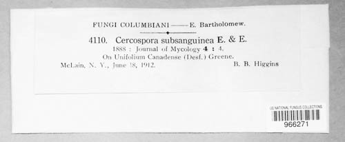 Zasmidium subsanguineum image
